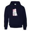 DryBlend® adult hooded sweatshirt Thumbnail